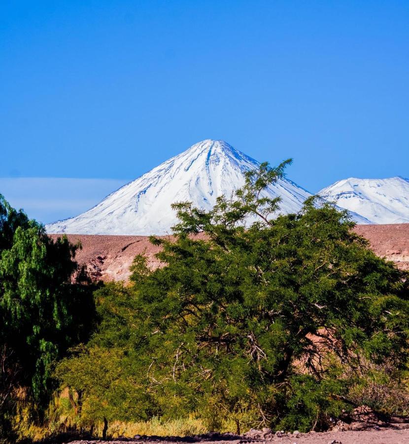 Hostal Don Felix San Pedro de Atacama Exteriér fotografie